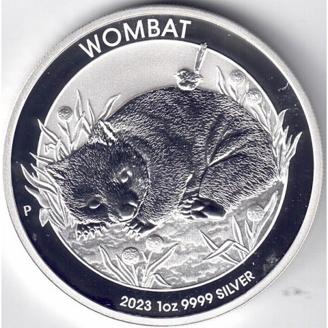 2023. Onza Australia. Wombat