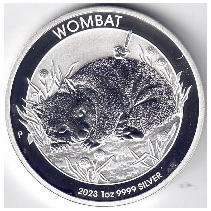 2023. Onza Australia. Wombat